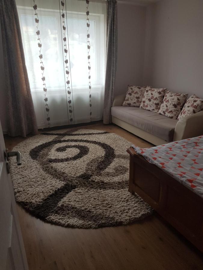 Appartement Garsoniera Emilia à Câmpulung Moldovenesc Extérieur photo