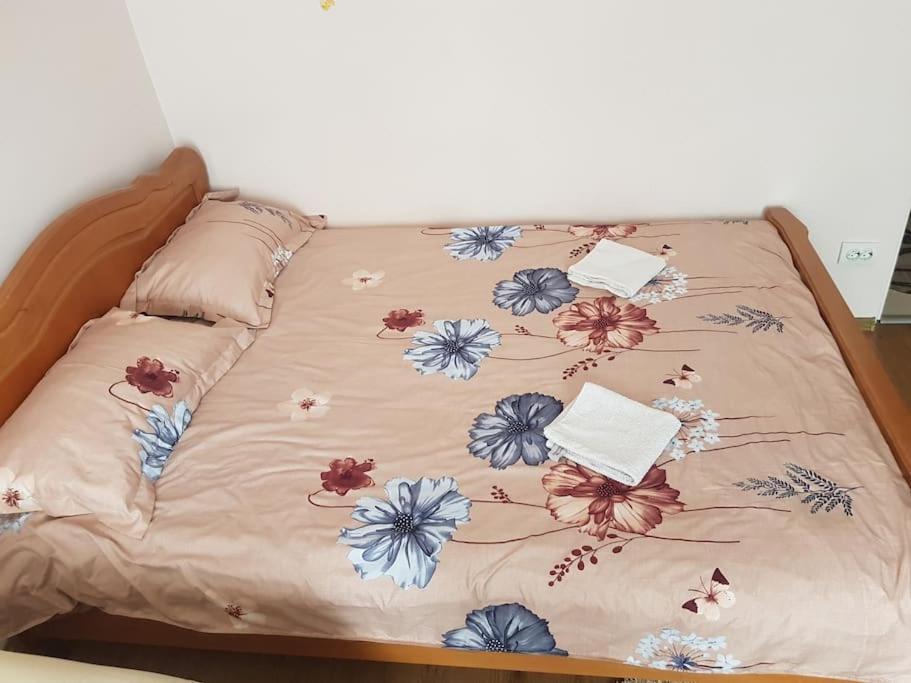 Appartement Garsoniera Emilia à Câmpulung Moldovenesc Extérieur photo