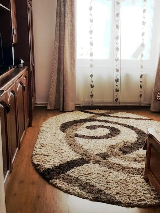 Appartement Garsoniera Emilia à Câmpulung Moldovenesc Extérieur photo